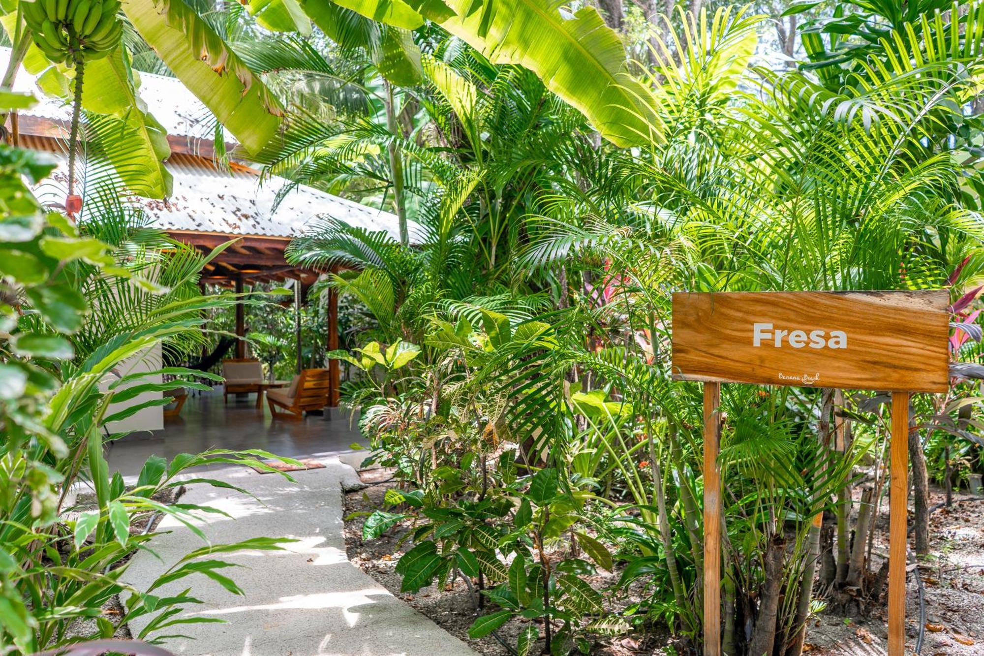 Banana Beach Bungalows Playa Santa Teresa  Exterior foto